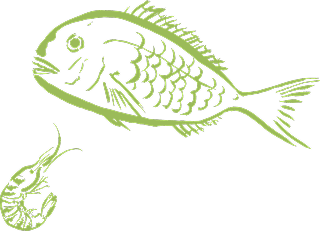 お店テキスト画像